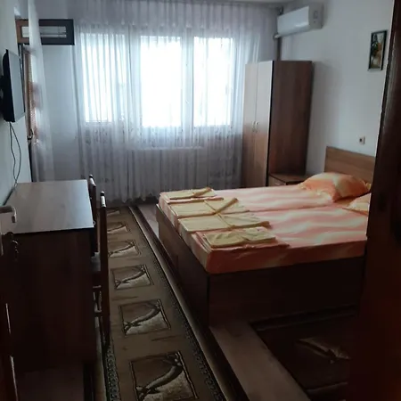 за гости петрови プリモルスコ