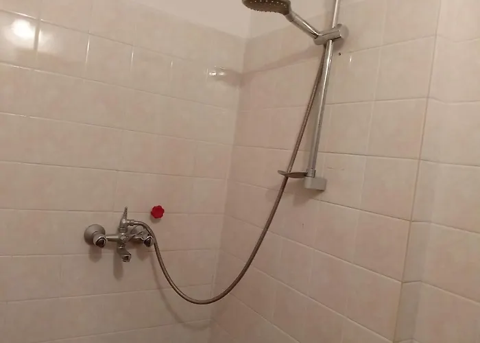 за гости петрови Primorszko